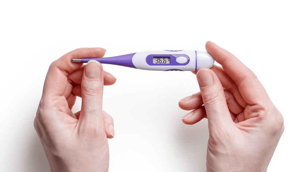 person holding a digital thermometer